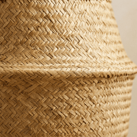 Panier en Rotin avec Anses